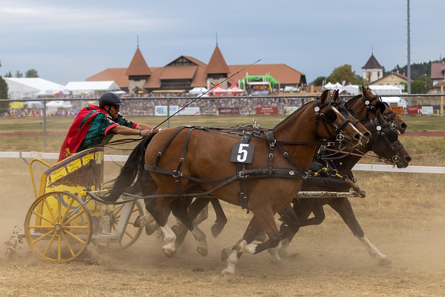 文化的独特 文化的独特